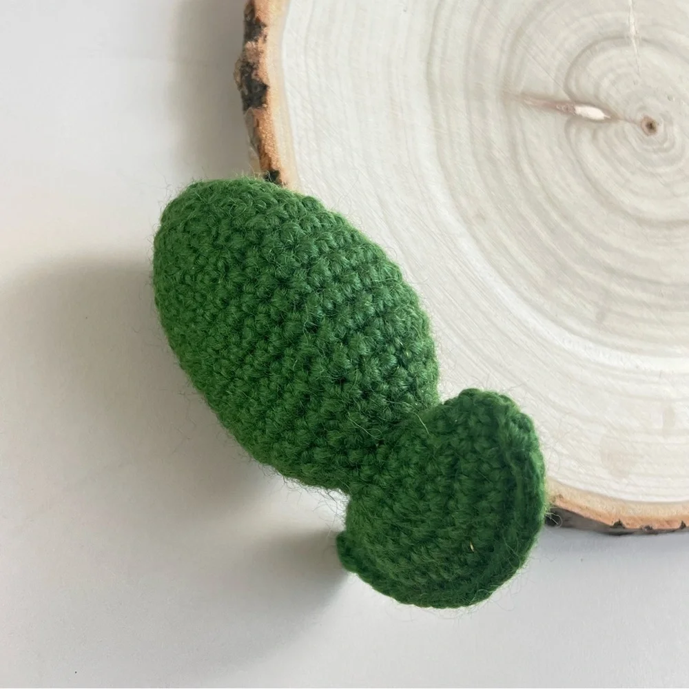 Cat Toy Handmade Wool Crochet Catnip Green Fish